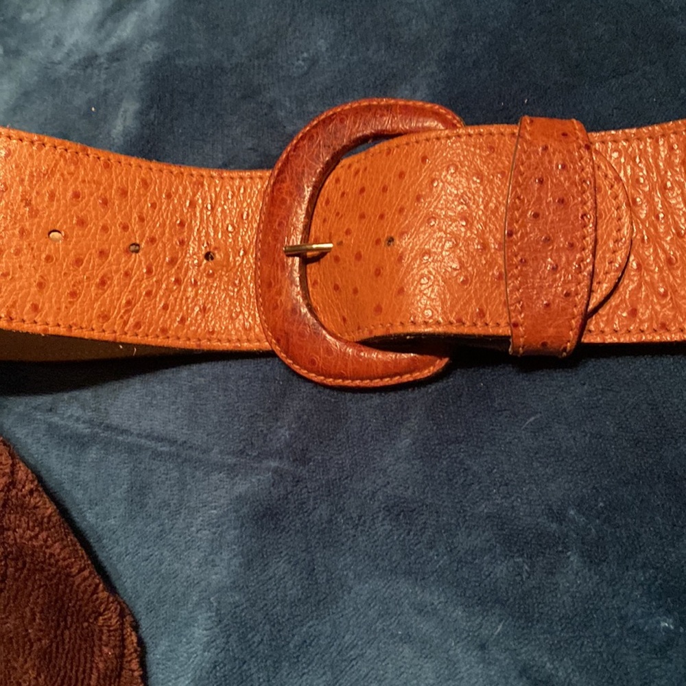 Belt - Picture 3 of 4